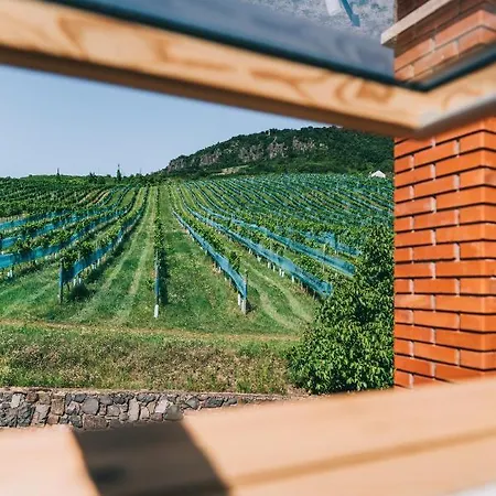 Obester Panzio ゲストハウス バダチョニトマイ