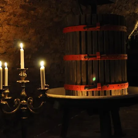 Obester Panzio ゲストハウス バダチョニトマイ