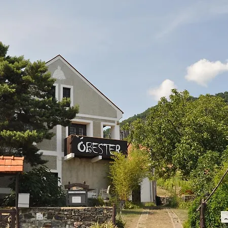Obester Panzio